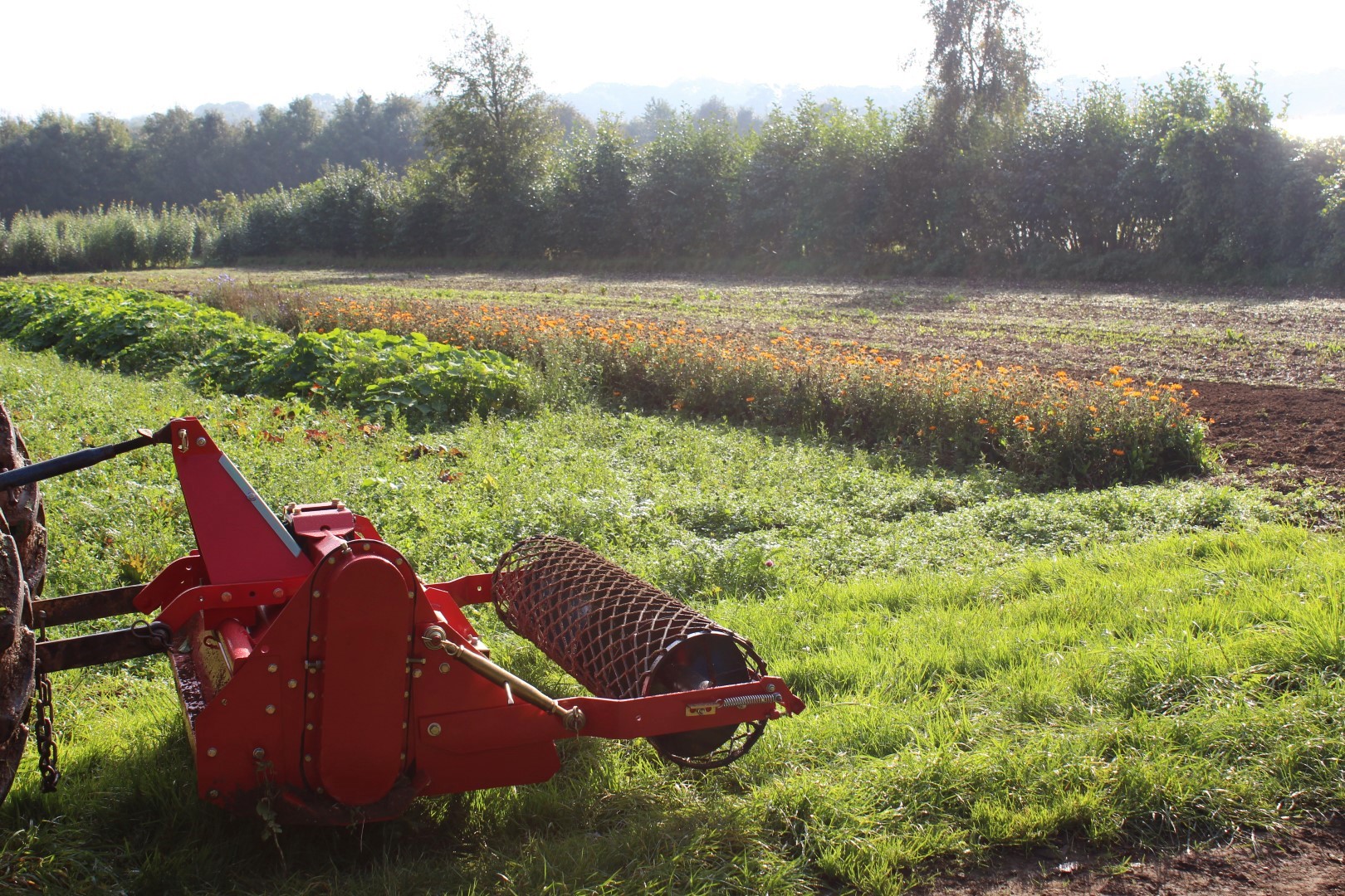 Northdown Orchard Winton Stone Burier