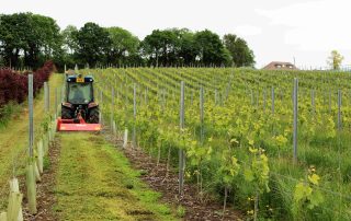 Vineyard Winton flail mower
